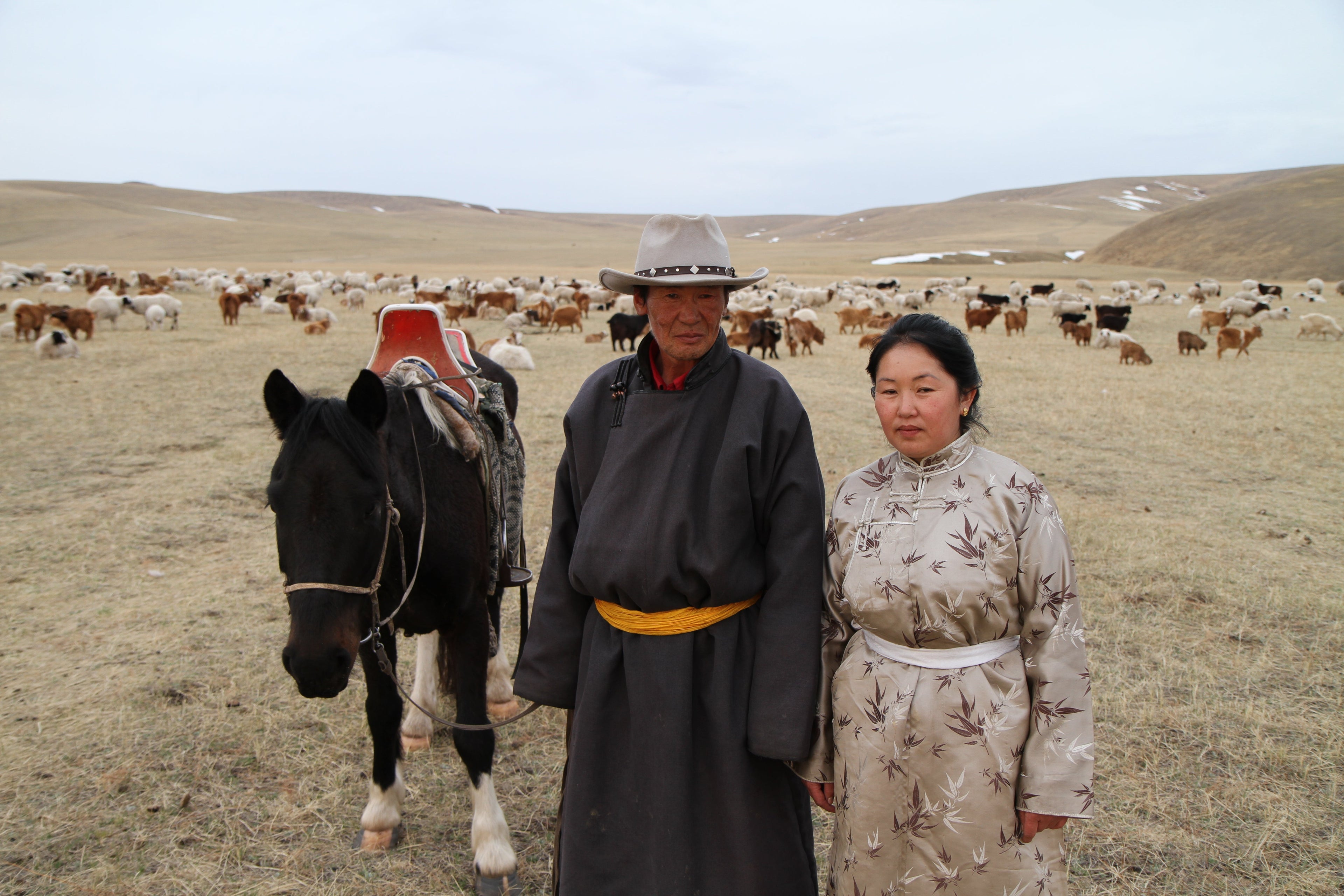 Nomadekulturen i Mongoliet: En livsstil, der forbinder natur, tradition og frihed