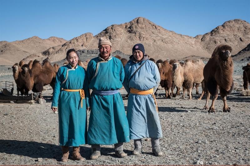 Den luksuriøse verden af cashmere, kamel og yakuld: Hvad du skal vide