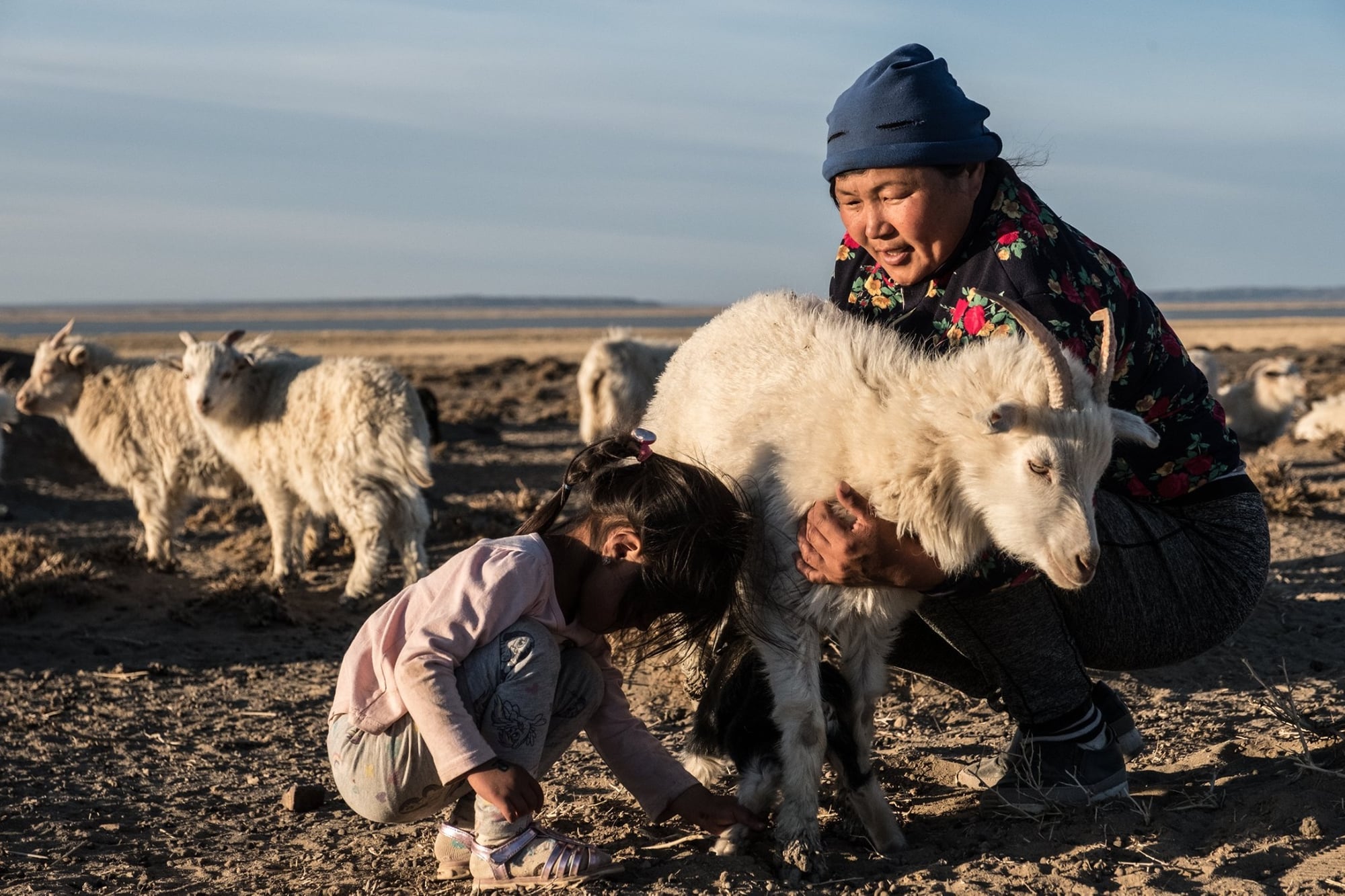 Mongolsk nomadfamilj med get